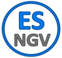 Business logo for visa services